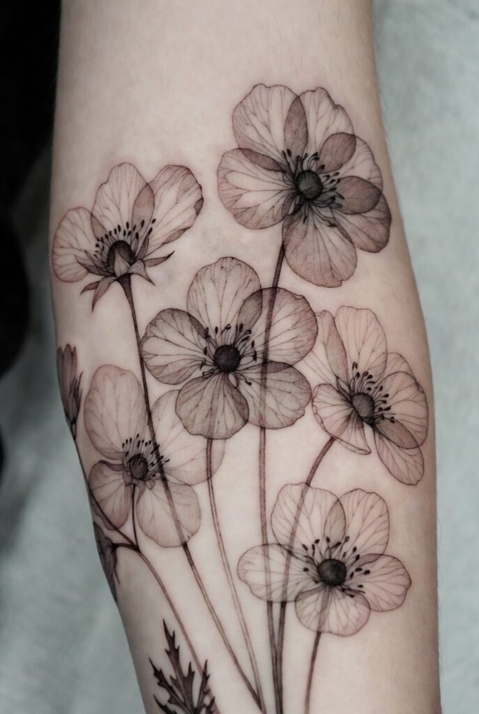 Pressed Wildflower Aesthetic