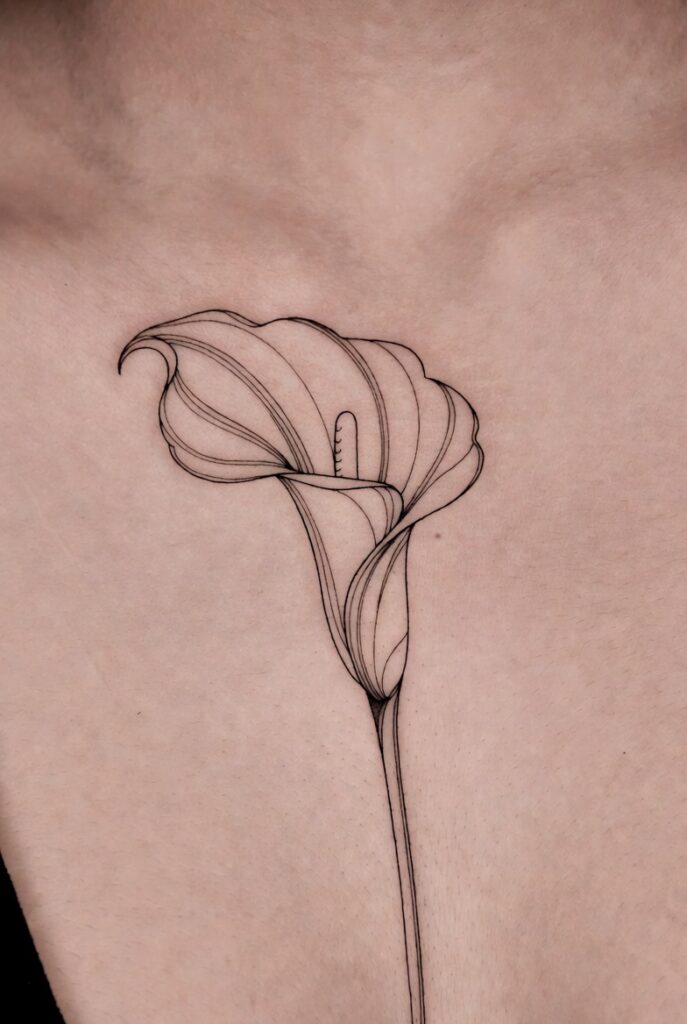 Calla Lily Line Art