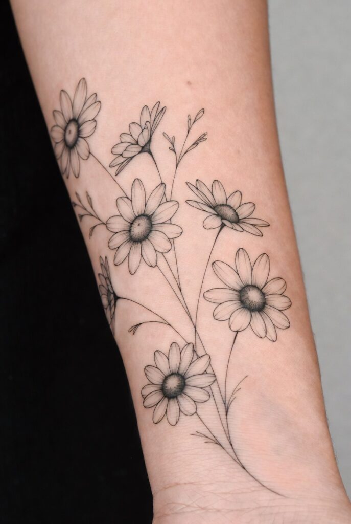 Fine-Line Daisy Cluster